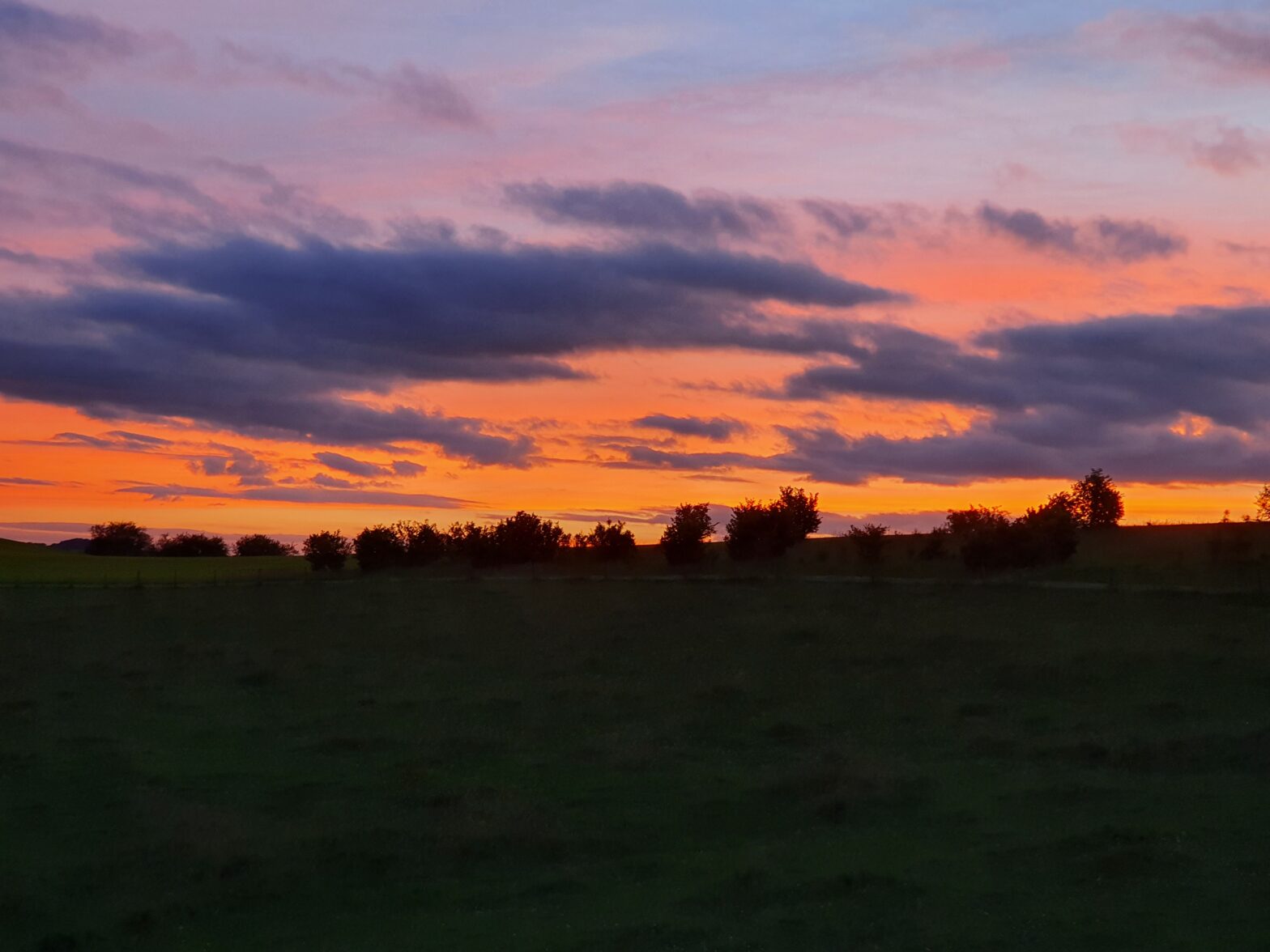 Abendhimmel über Lutzerath, vorne eine Wiese, am Horizont eine Reihe Bäume, darüber rot leuchtender Himmel mit ein paar Wolken