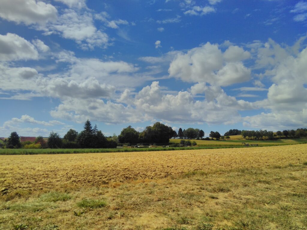 Das Bild zeigt im Vordergrund eine trockene Wiese, dahinter ein paar Schrebergärten und Bäume und einen blauen Himmel mit aufgelockerter Bewölkung.