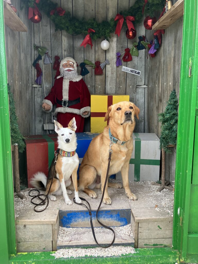 Henry H.Lunke und Socke sitzen in einem Holzhäuschen vor einigen bunten Geschenken und einer Weihnachtsmannfigur