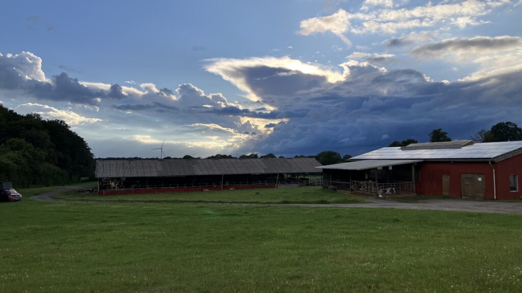 Sonnenuntergang hinter den Wolken
Eine rotbraune Scheune mit einer großen Wiese davor. Am Himmel ein paar Wolken die am Rand leuchten. 