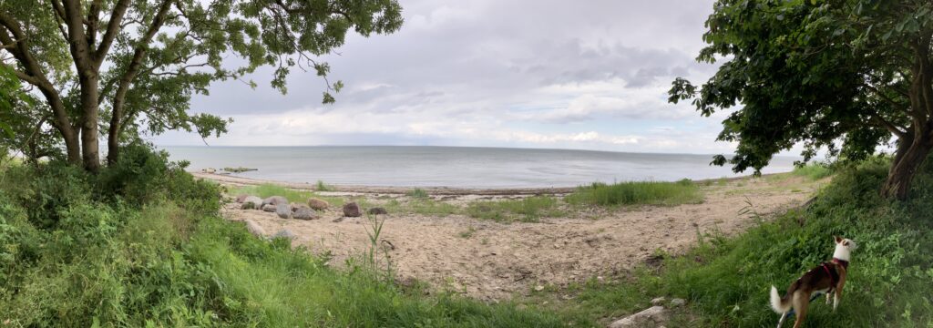 Links und rechts Bäume, in der Mitte Strand