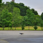 An der Wildenburg An der Wildenburg