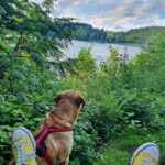 H.Lunke vorm Pulvermaar H.Lunke vorm Pulvermaar