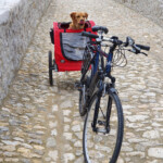 Altmühltal Altmühltal