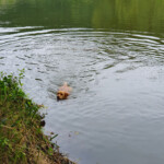 Altmühltal Altmühltal