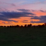 Abendhimmel über Lutzerath Abendhimmel über Lutzerath, vorne eine Wiese, am Horizont eine Reihe Bäume, darüber rot leuchtender Himmel mit ein paar Wolken